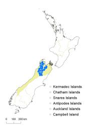 Veronica topiaria distribution map based on databased records at AK, CHR & WELT.
 Image: K.Boardman © Landcare Research 2022 CC-BY 4.0